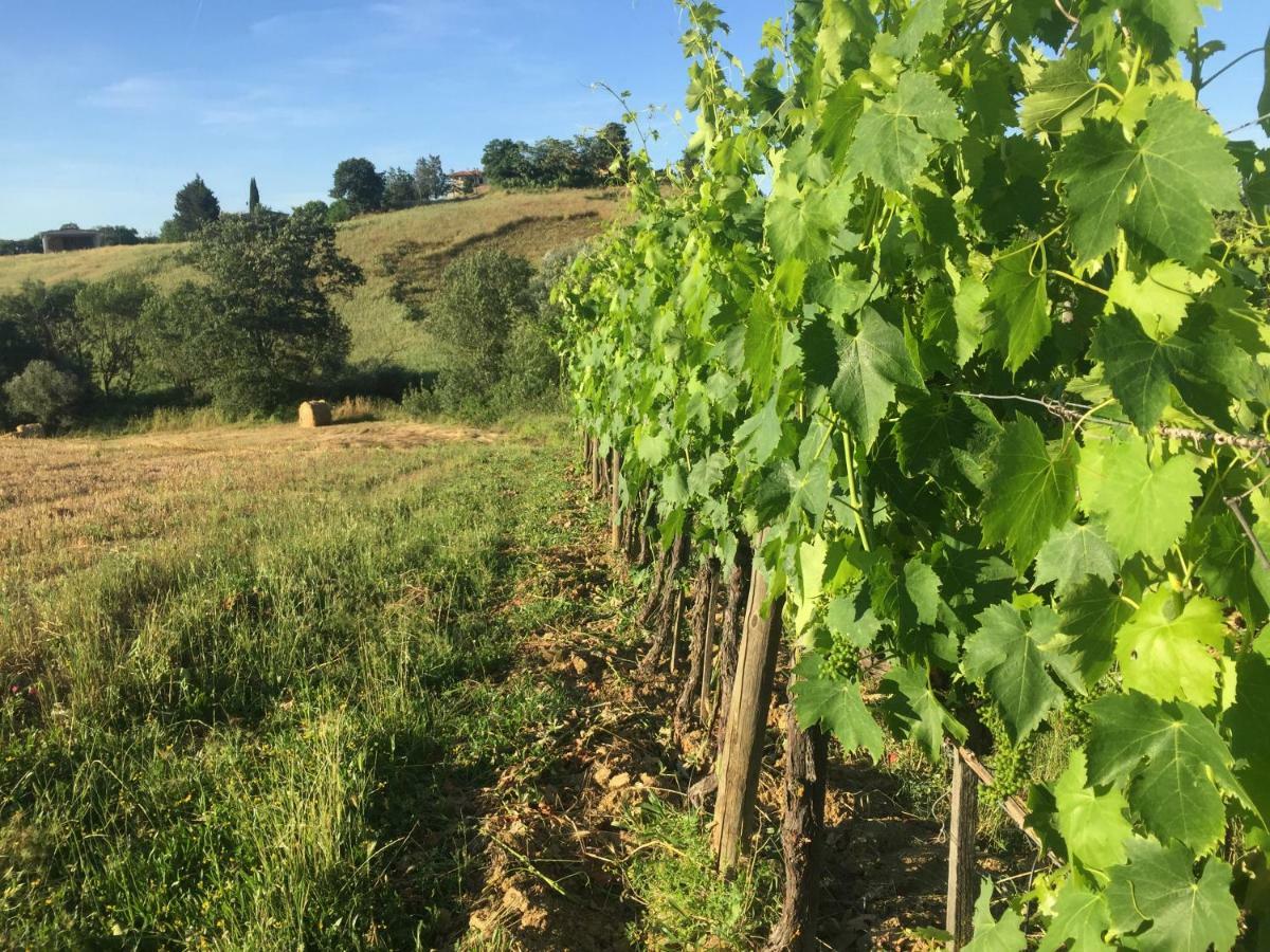 Poggio Alla Pietra 26 Porrona Zewnętrze zdjęcie
