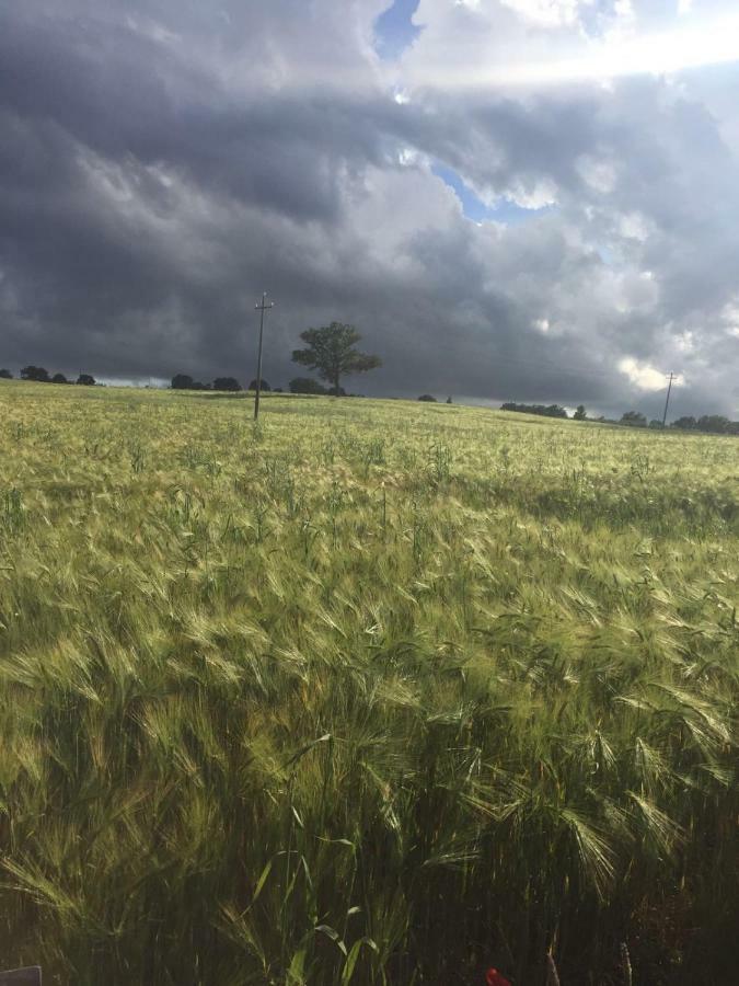 Poggio Alla Pietra 26 Porrona Zewnętrze zdjęcie